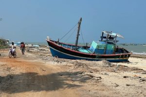 IMG_6414 - Pesalai IMG_6414 - Pesalai