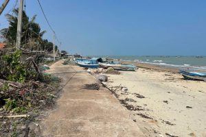 IMG_6418 - Pesalai IMG_6418 - Pesalai