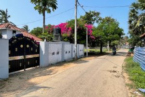 IMG_6425 - Pesalai IMG_6425 - Pesalai