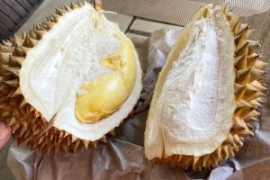 IMG_7683(1) IMG_7683(1)