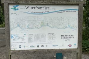IMG_0034 IMG_0034
