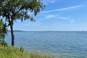 IMG_0168 IMG_0168