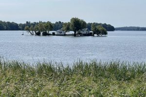 IMG_0196 IMG_0196