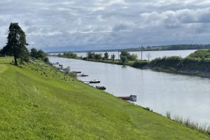 IMG_0222 IMG_0222