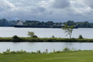 IMG_0224 IMG_0224