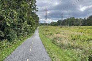 IMG_0261 IMG_0261
